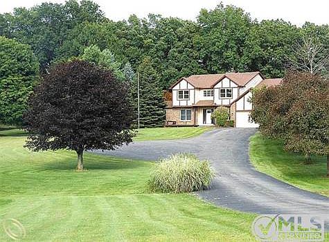 Tree Lined Drive