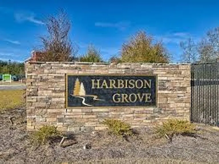 315 High Grove Way — Photo 29