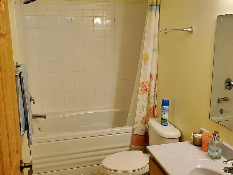 Lower Level Full Bathroom and Jacuzzi Tub