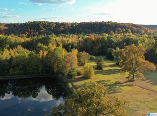 10715 Big Hurricane Rd, Brookwood, AL 35444