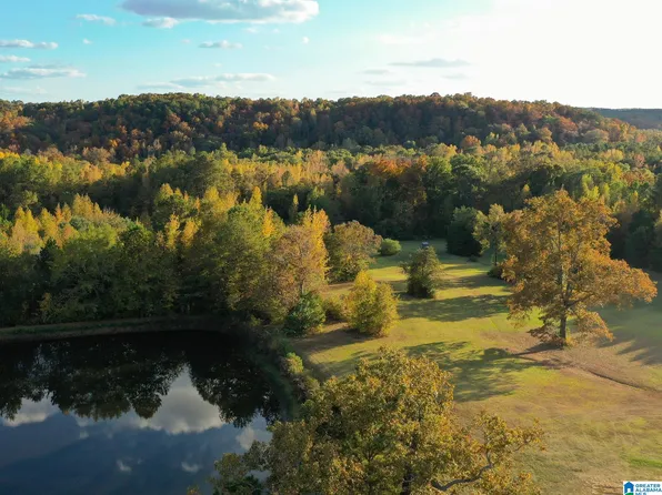 10715 Big Hurricane Rd, Brookwood, AL 35444