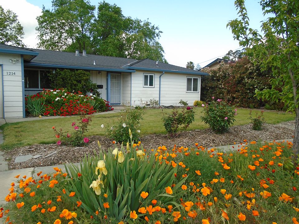 Front yard in April.