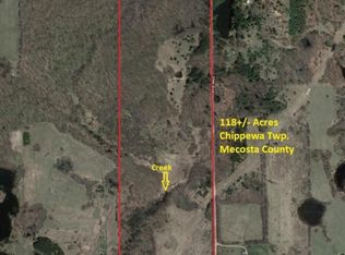 70 Avenue, Evart, MI 49631
