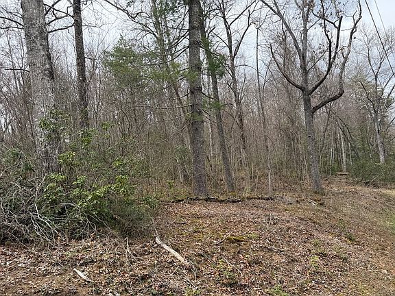 5th image of 20-20 Rainwater Point Indian Lake Rd Lot 20