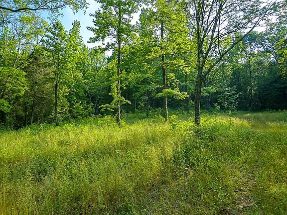 3rd image of 94 Short Creek Rd