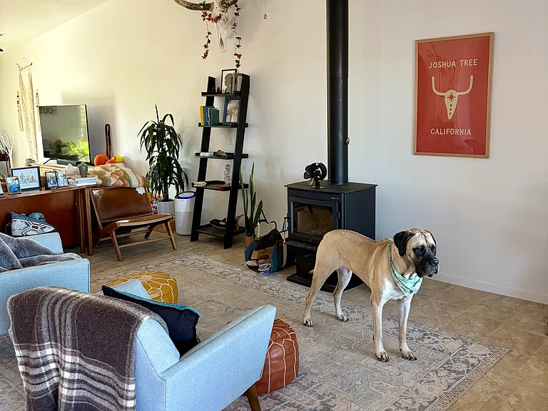 58767 Delano Trl — Photo 2