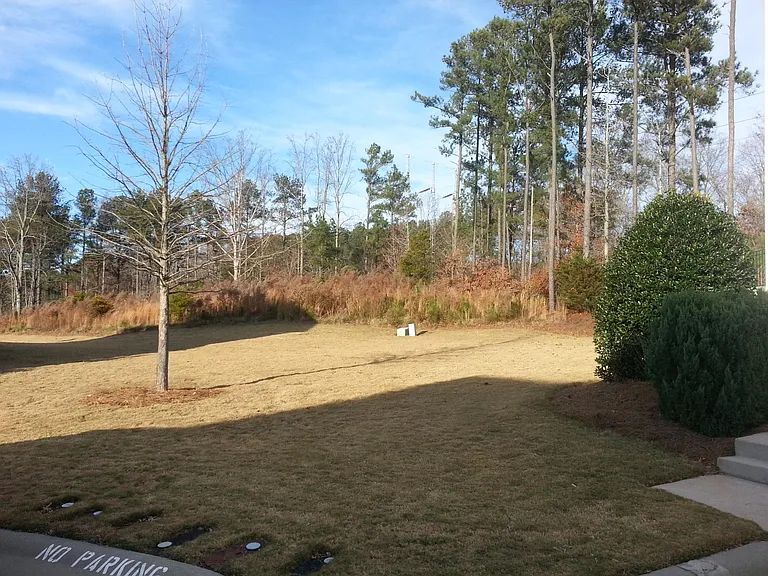 Side Yard - Open Space