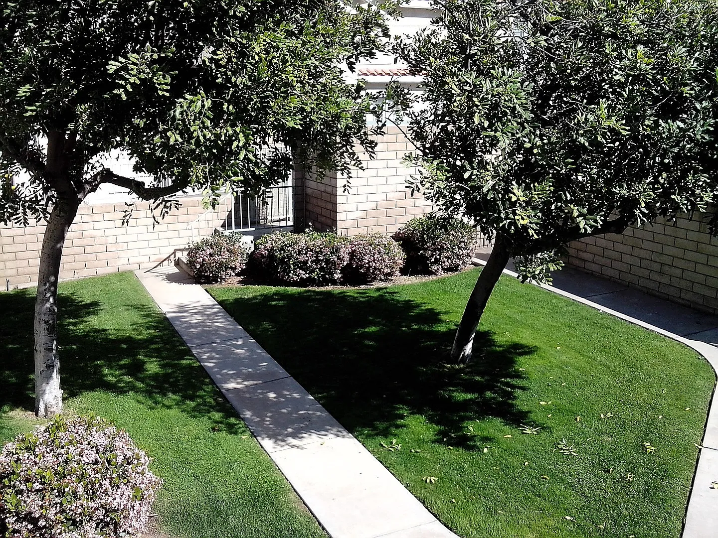 bir404 — Photo 3