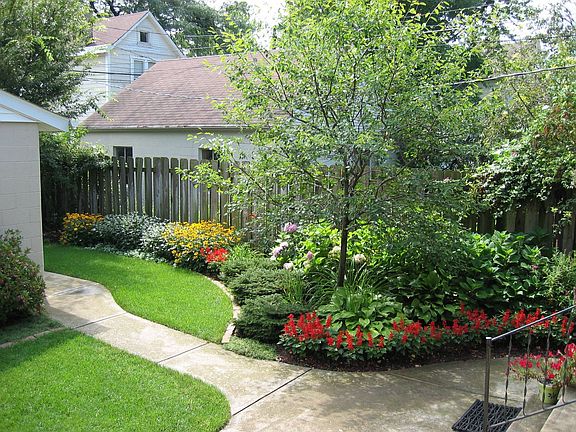 back yard summer