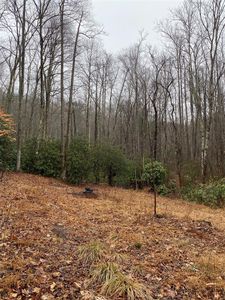 (Undisclosed Address), Hendersonville, NC, 28792