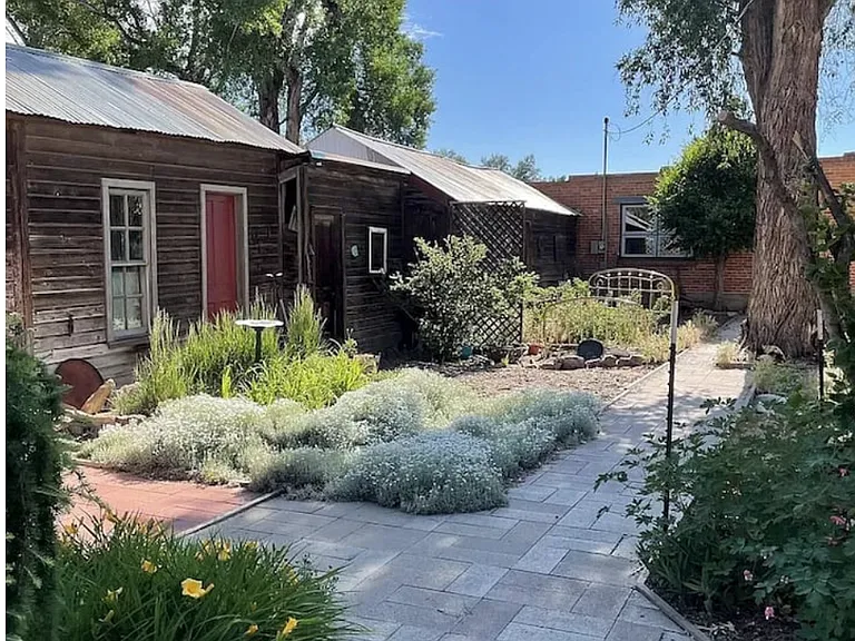 Back yard