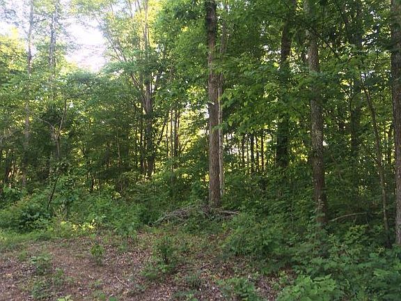 2nd image of Tecumseh Dr