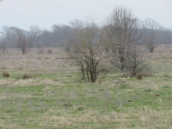 5th image of 11268 State Highway 296