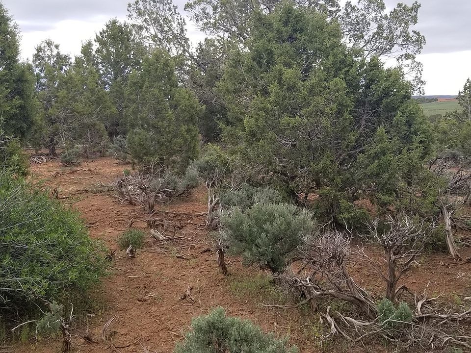 1st image of 54385 Highway 491