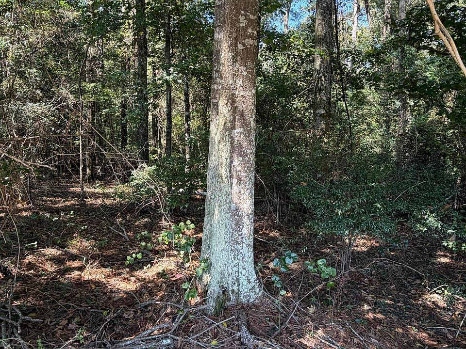 1st image of Adams Rd