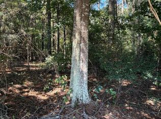 Adams Rd, Smithdale, MS 39664