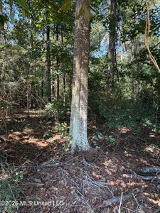 Adams Rd, Smithdale, MS, 39664