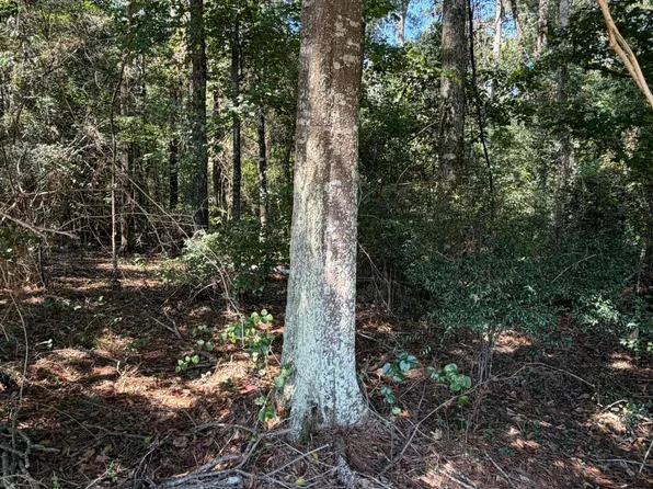 Adams Rd, Smithdale, MS 39664