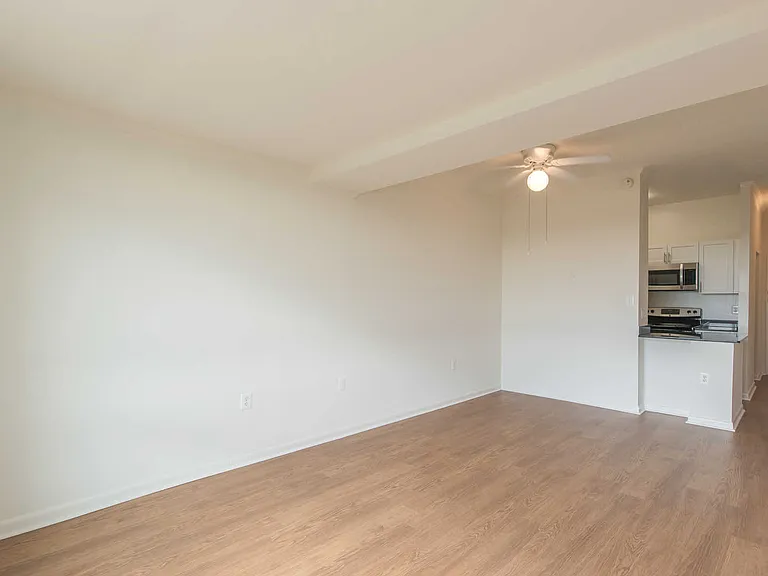 Living and Dining Room