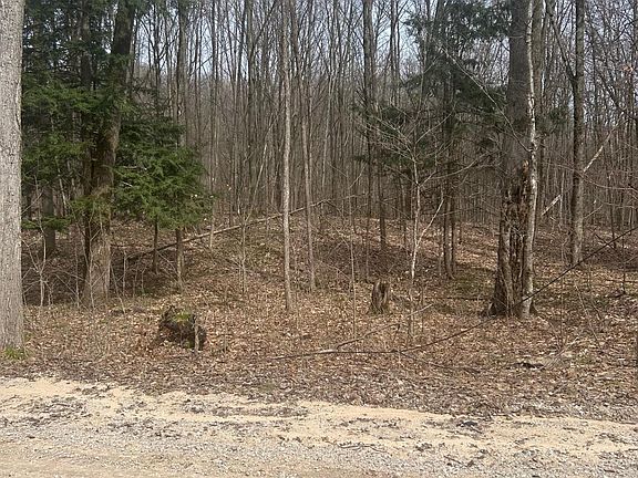 4th image of Lost Lake Rd