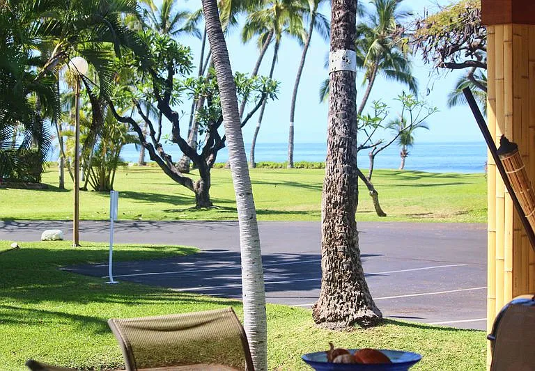 185 Pualei Dr #3 — Photo 33