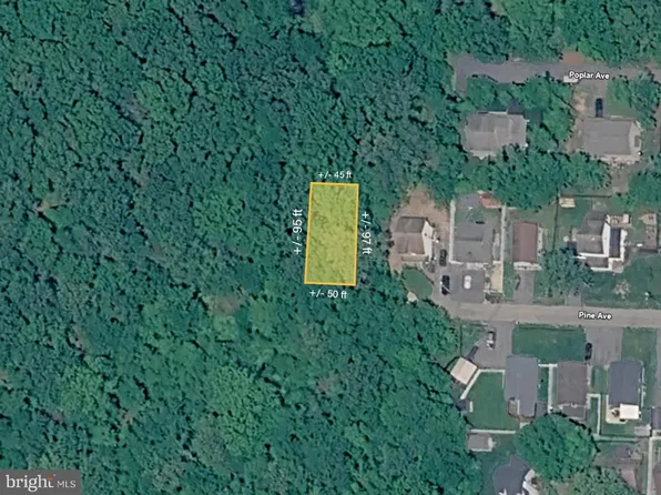 Pine Ave, Shady Side, MD 20764