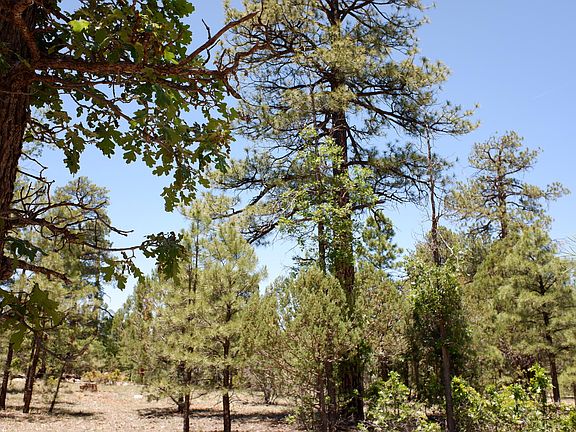 2nd image of 1874 Sugar Pine Dr