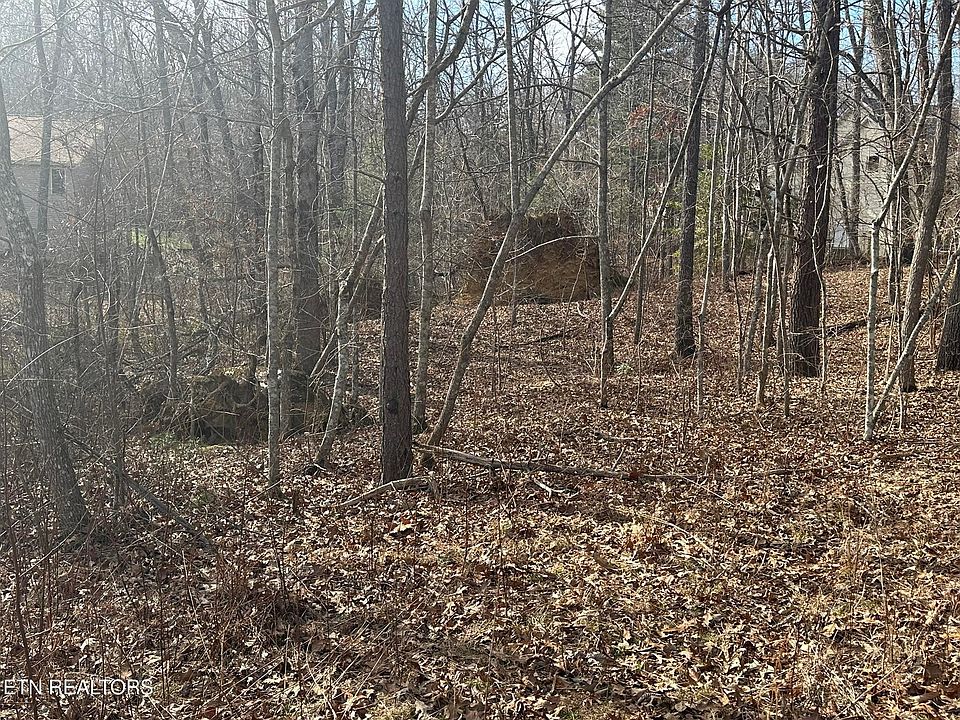 1st image of 131 Burrough Ln