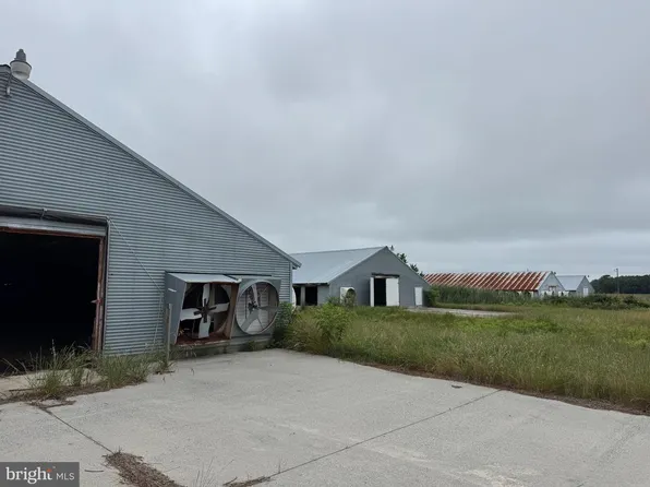 7193 Bullbegger Rd, Withams, VA 23488