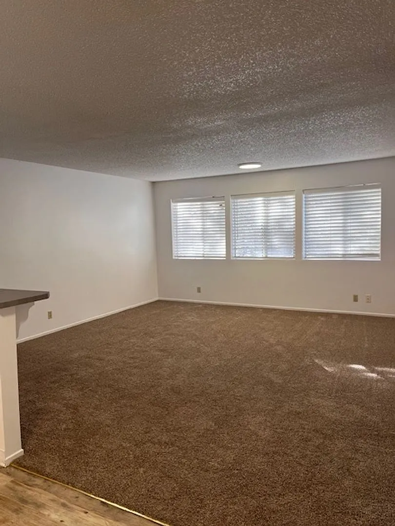 Rare Complex located conveniently behind Round Hill Square in walking distance to the Lake. — Photo 2