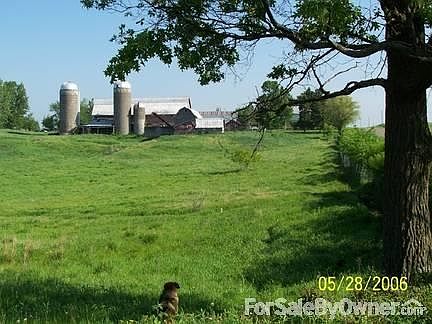 Barns
						:
						Outbuildings as seen from the south end of the property.