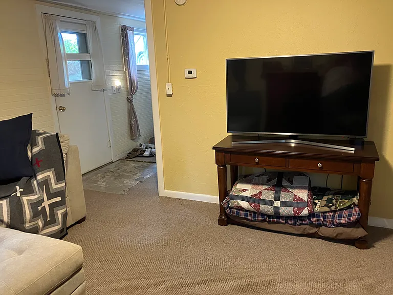 living room and main entry