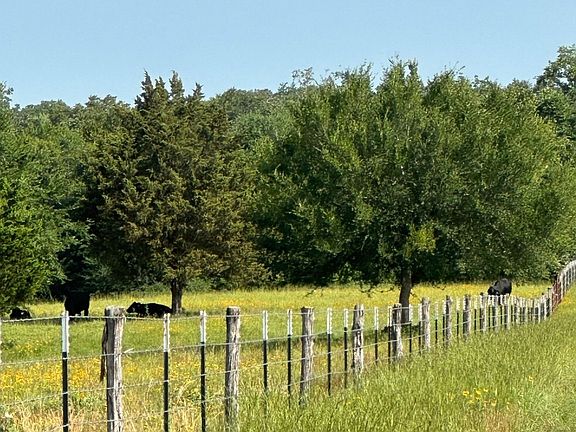 5th image of 19170 Highway 7 W
