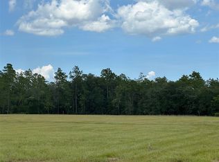 13895 SE 47th Street Rd, Ocklawaha, FL 32179