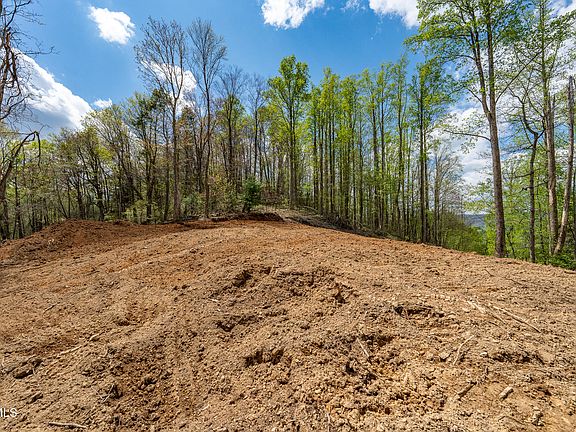 4th image of 1 Ridge Top Ln