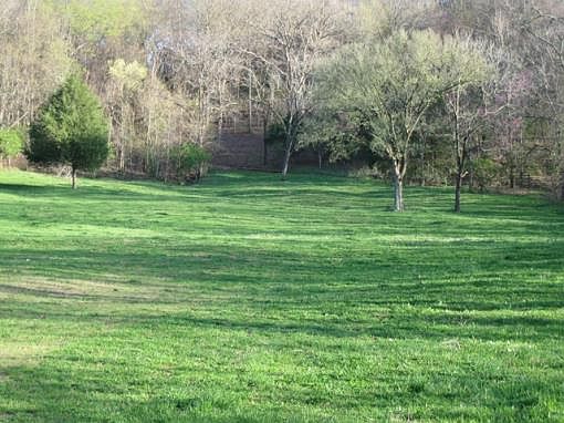 5th image of 261 Old Carters Creek Park