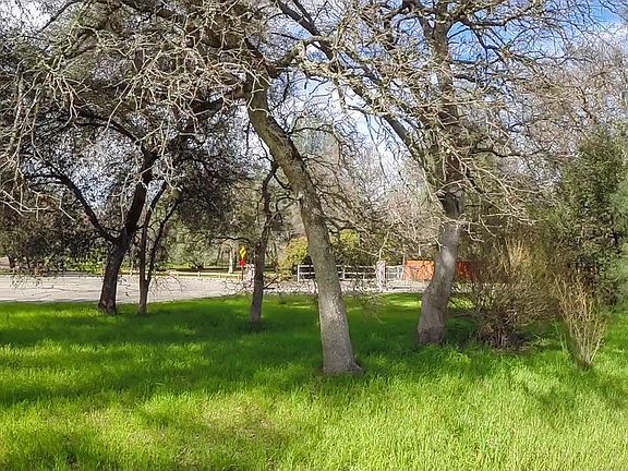 4th image of Quarter Horse Ln