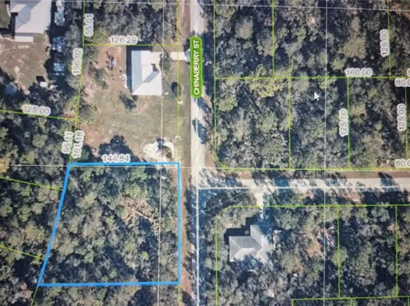 948 CHINABERRY STREET LOT 4, LAKE PLACID, FL 33852