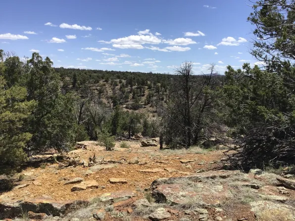 LOT 207 Meadow Dr, Ramah, NM 87321