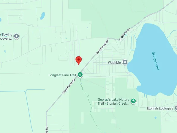 169 Lura Ln E, Florahome, FL 32140