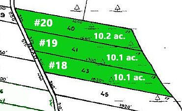 2nd image of 40 41 & 43 Morgan Road