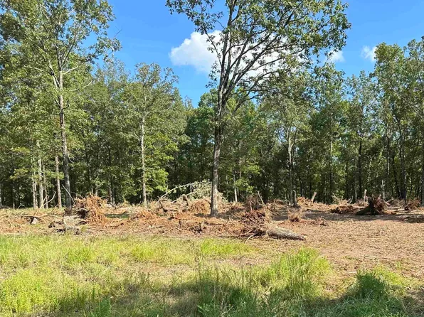 (undisclosed Address), Tumbling Shoals, AR 72581