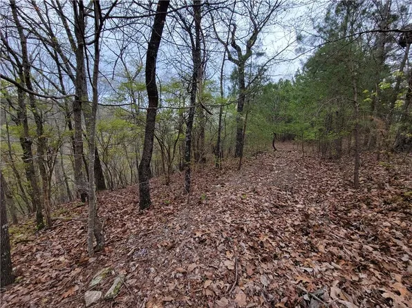 1409 Foxhound Trl NE Lot 1409, Ranger, GA 30734