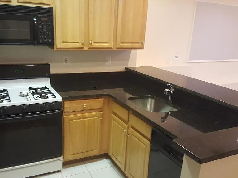 Kitchen with built-in microwave, gas stove, dishwasher and fridge