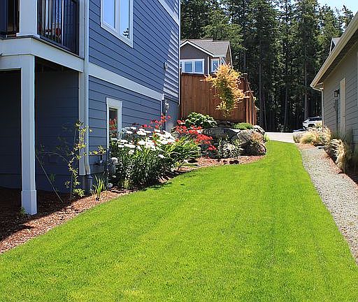 Right Side Yard