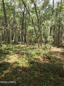 McLane St, Saint Helena Island, SC, 29920