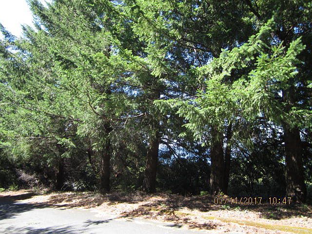 1st image of 45 Pepperwood Dr