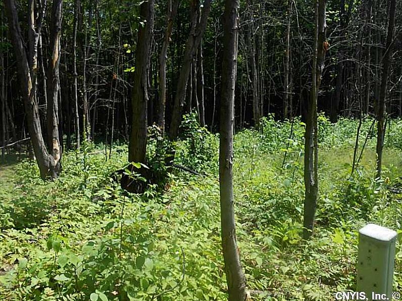 2nd image of 9468 Oswego Rd