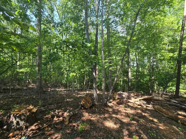 1170 New Hope Ln, Huddleston, VA 24104