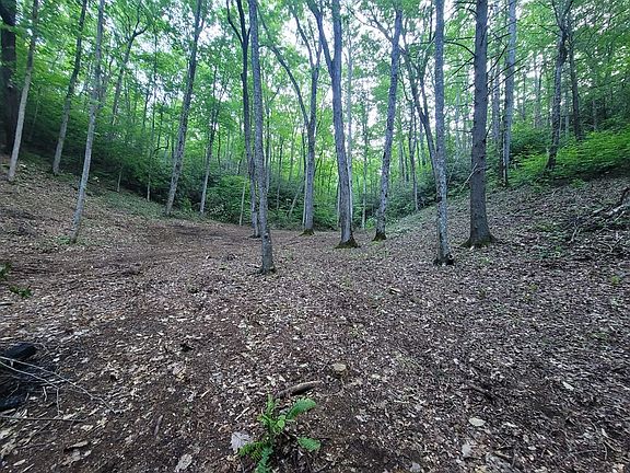 5th image of 14 Cara Way Lot 14